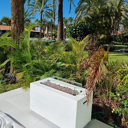 Sun Club P65 Premium *