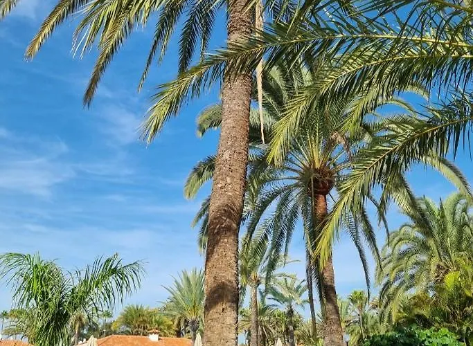 Sun Club P65 Premium Tatil Evi Maspalomas (Gran Canaria)