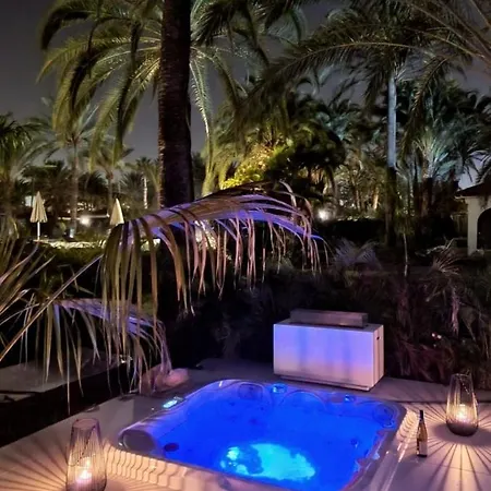 Sun Club P65 Premium *