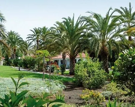 Sun Club P65 Premium Μασπαλόμας