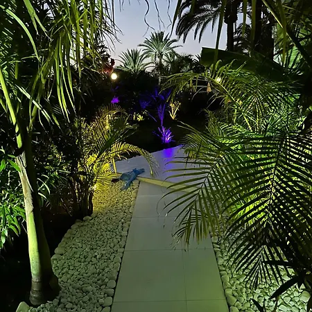 Hébergement de vacances Sun Club P65 Premium