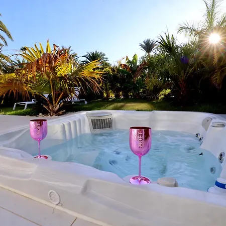 Sun Club P65 Premium *